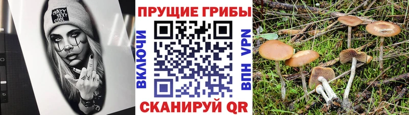 Галлюциногенные грибы GOLDEN TEACHER  купить закладку  Евпатория 